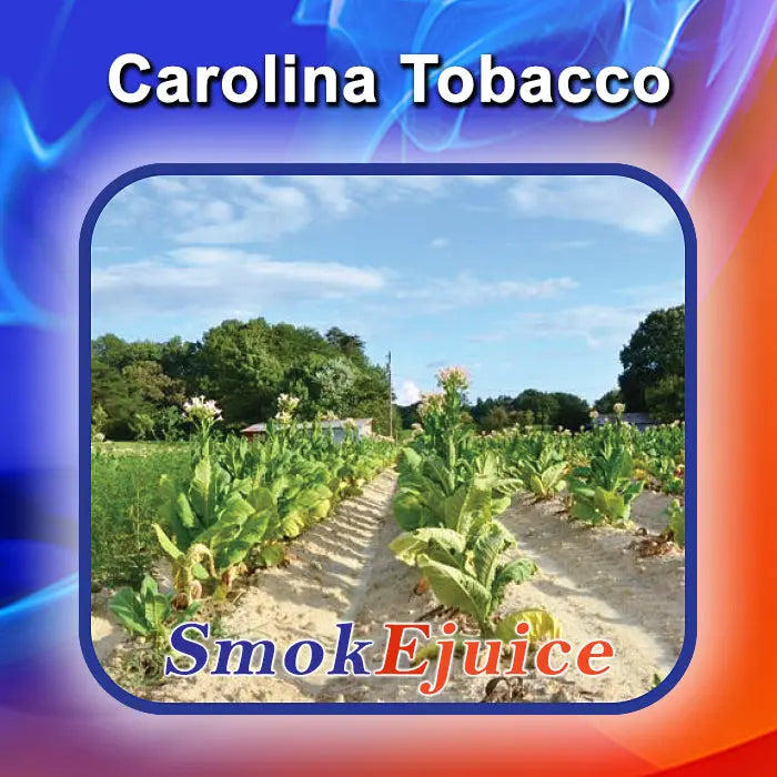 SmokEjuice (Top Flavors) SmokTek
