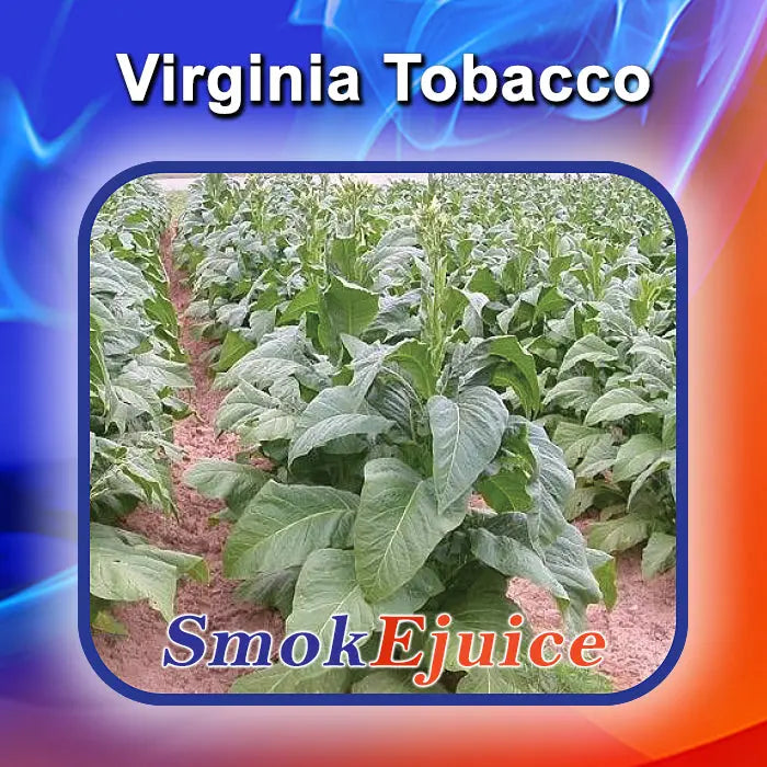 SmokEjuice (Top Flavors) SmokTek