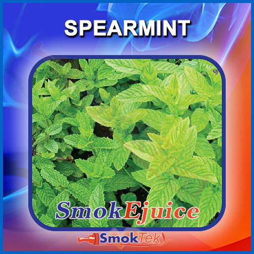 SmokEjuice Premium Blend